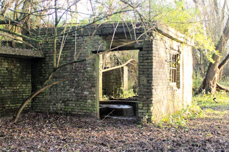 wandelen de blauwe kamer