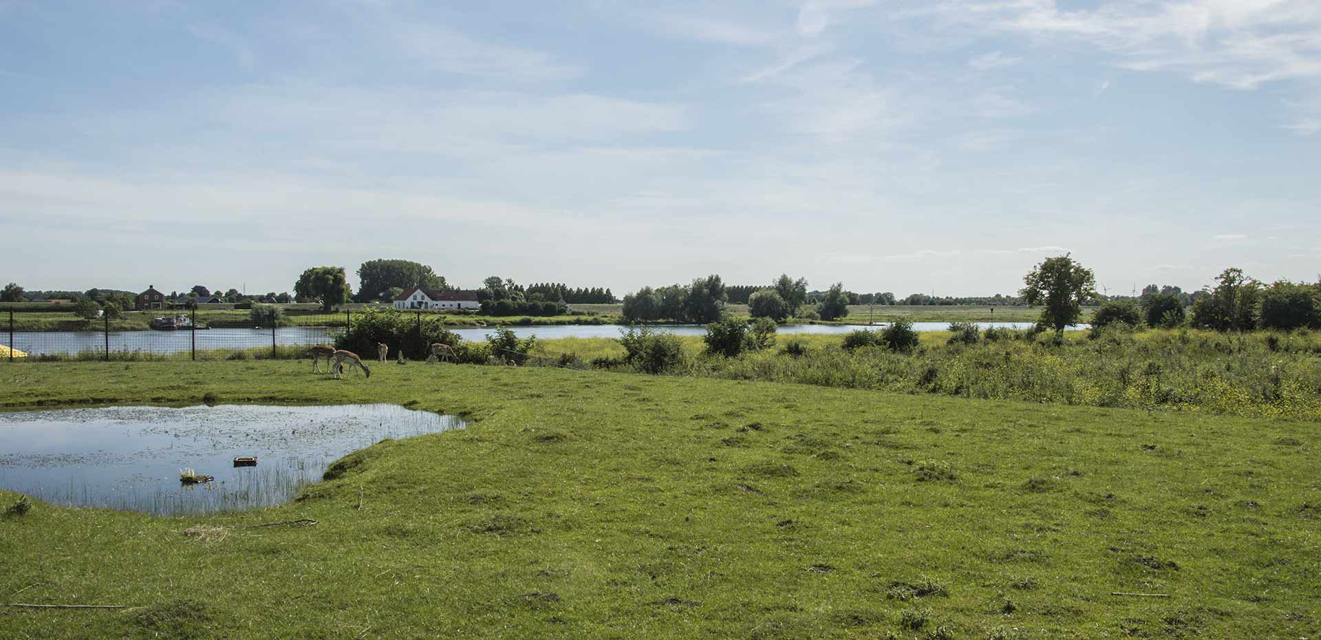 uitzicht de blauwe kamer